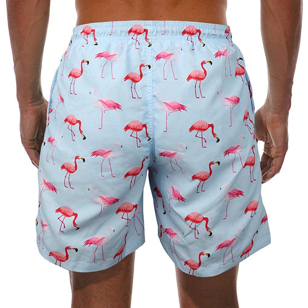 Mens Workout Fitness Training And Sports Shorts